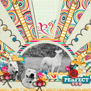 Perfect Dog