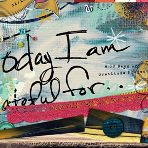 30 Days Project Cover