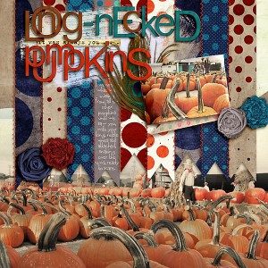 Long-Necked Pumpkins