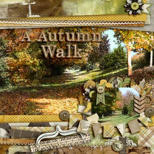 A Autumn Walk