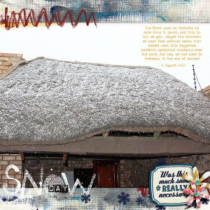 Snow Day