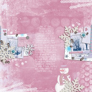Winter Wish