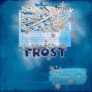 Winter Frost