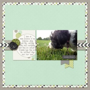 Sniffinest Dog!