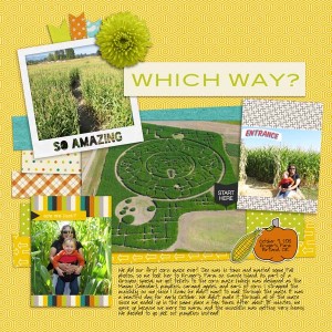 Which Way?