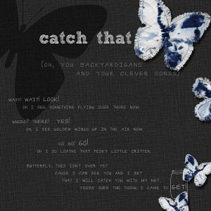 Catch That Butterfly