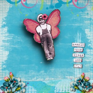 Fly