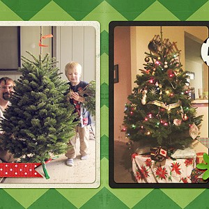 We Got A Real Tree