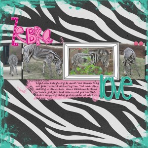 Zebra Love