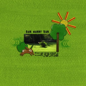 Run Bunny Run