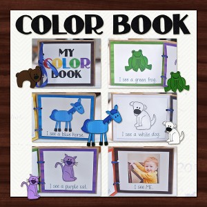 Hybrid Color Book