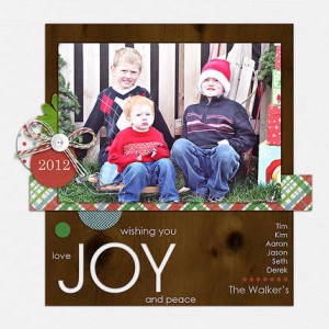 2012 Christmas Card