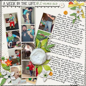 A Week in the Life at 2 Years Old