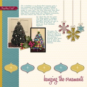Hanging the Ornaments