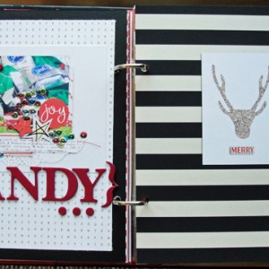 DYD 2011 - Candy