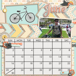 2013 June Calendar
