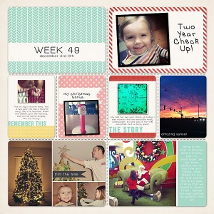 Project Life | Week 49 Left