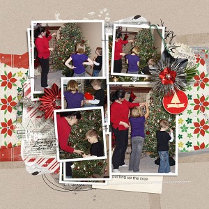 putting up the tree