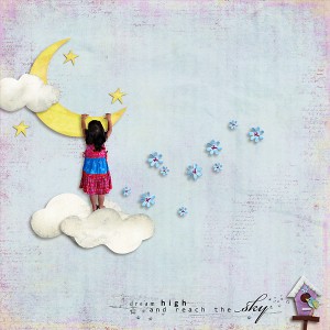 Reach The Sky