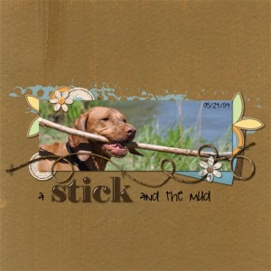a stick and the mud