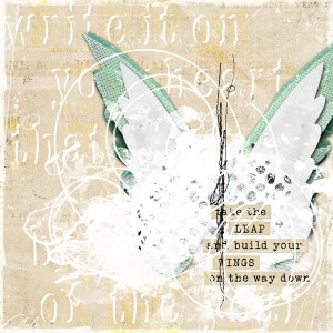 Build your Wings