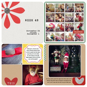 PROJECT LIFE - week 48