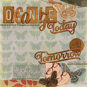 OLW 2013 - Organize