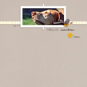 hello, sunshine