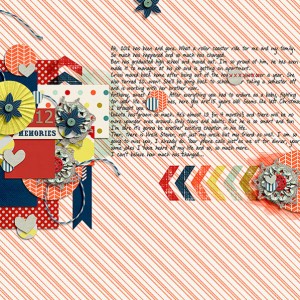 Many Changes 2012
