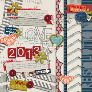 Resolution 2013