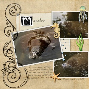 01042013 realistic stamp- Manatee