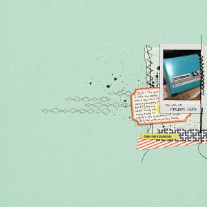 The Era of Project Life