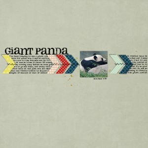 Giant Panda