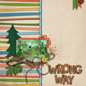 wrong way