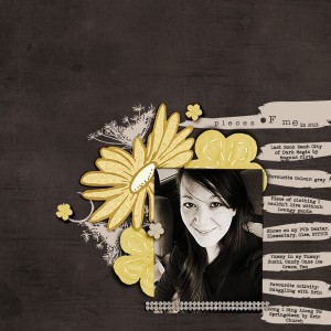 Pieces of Me