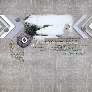 Silence in the Snow