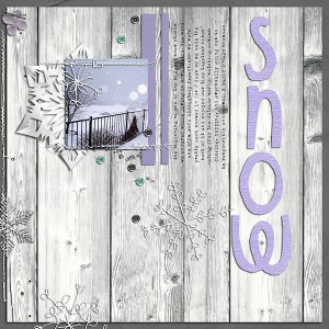 Snow Storm