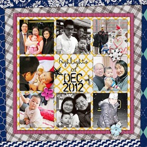 Highlight of Dec 2012