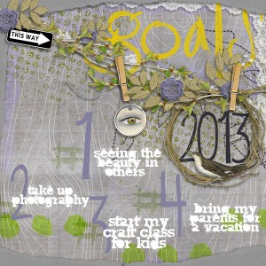 2013 goals