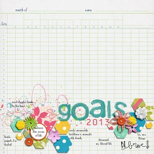2013 Goals
