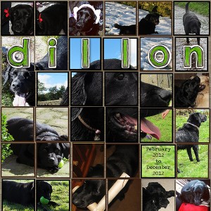 Dillon - Movie Inspiration Jan 3
