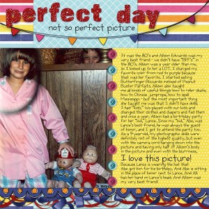 Perfect Day - Imperfect Picture