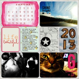 Week 1L - Jan 2013