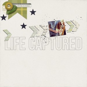 Life Captured