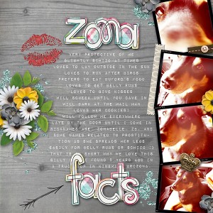 Zona Facts