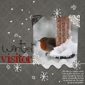 Winter Visitor
