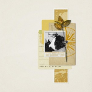 Jan 16 Challenge-New Photo
