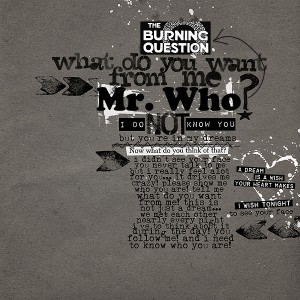 mr.who?