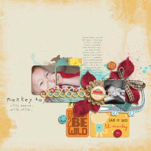 Monkey Boy