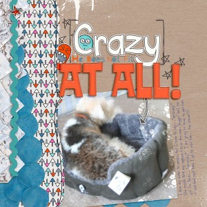 [CRAZY] He does not fit at all!